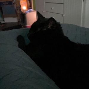 Meet your Posher, Margaret